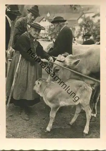 Dalla Valle di Sarentino - Photograph Wolfram Knoll - Foto-AK Grossformat - Verlag J. F. Amonn Bolzano 40er Jahre