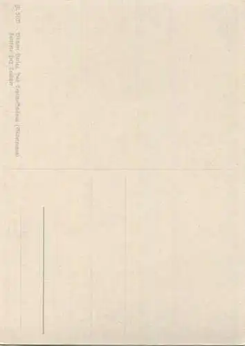 Gelber Apfel - AK Grossformat - Farbfoto-Fritz Teuscher - Wächter Verlag Teplitz-Schönau (Sudetengau)