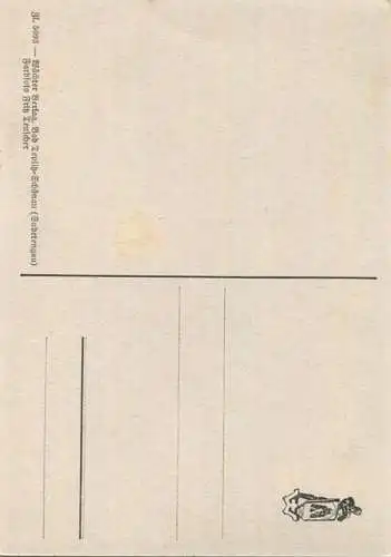 Schwertlilien - AK Grossformat - Farbfoto-Fritz Teuscher - Wächter Verlag Teplitz-Schönau (Sudetengau)
