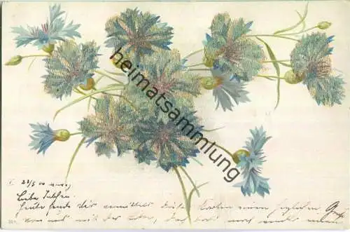 Blumen - ein Strauss Kornblumen - Künstlerkarte - Glimmer - Rückseite beschrieben ca. 1900