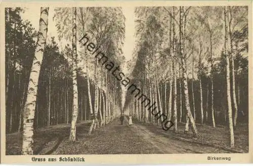 Schönblick - Birkenweg - Verlag W. Meyerheim Berlin 1929