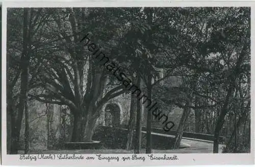 Belzig - Lutherlinde am Eingang zur Burg Eisenhardt - Verlag Otto Mildner Belzig 30er Jahre