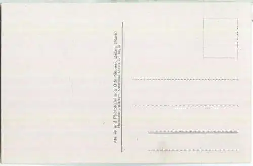 Belzig - Lutherlinde am Eingang zur Burg Eisenhardt - Verlag Otto Mildner Belzig 30er Jahre