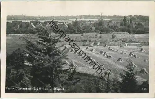 Berlin-Mariendorf - Blick vom Volkspark - Foto-Ansichtskarte 50er Jahre - Verlag Neihs Berlin