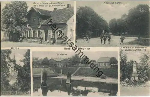 Gruß aus Niegripp - Gasthof zum grünen Baum Besitzer Otto Voigt - Schleuse - Kirche - Allee - Verlag H. Goldschmidt Burg