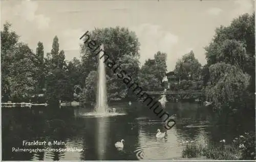 Frankfurt a. Main - Palmengarten - grosser Weiher - Foto-AK - Verlag Trinks & Co. GmbH Leipzig gel. 1931