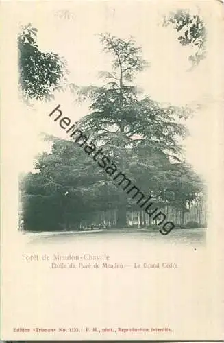 Meudon-Chaville - Foret - Edition Trianon