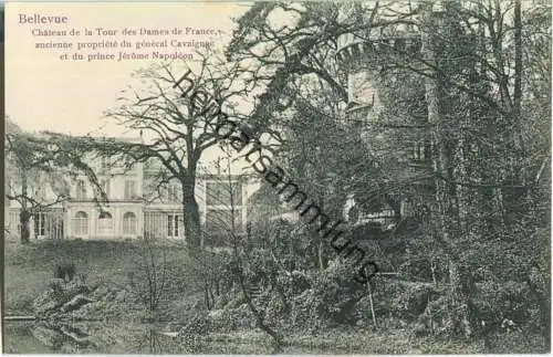 Meudon - Bellevue - Chateau  - Edition Trianon