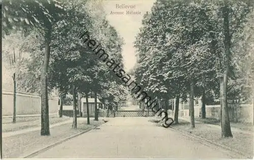 Meudon - Bellevue - Avenue Melanie  - Edition Trianon
