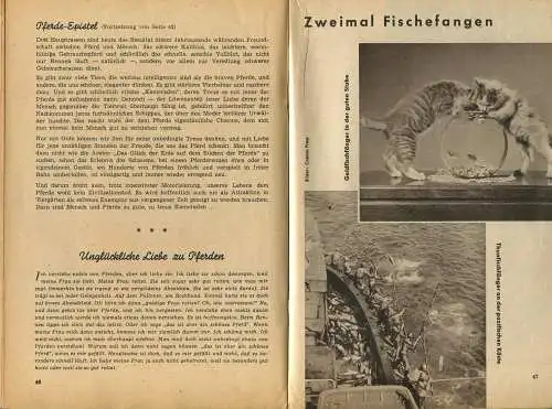 Der Buntspecht - Heft 7 Jahrgang 1953 - 88 Seiten mit vielen Abbildungen - Verlag Wort und Bild GmbH Wiesbaden