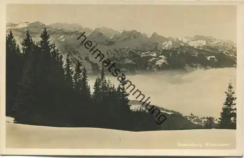 Beatenberg - Wintersport - Foto-AK - Verlag G. D' Aguanno-Zinsli Interlaken - Rückseite beschienen 1932