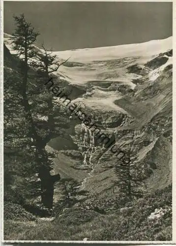 Alp Grüm - Blick auf den Palü Gletscher - Foto-Ansichtskarte 50er Jahre