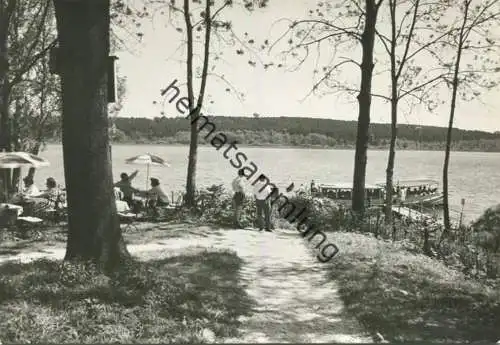 Buckow - Gast- und Pensionshaus Buchenfried am Schermützelsee - Foto-AK Großformat - Verlag Bild und Heimat Reichenbach