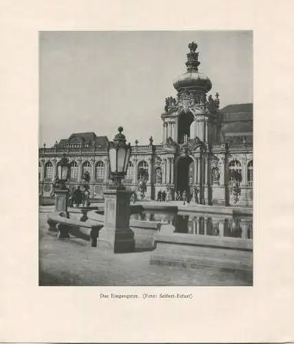 Dresden Der Dresdner Zwinger - 8 einzelne Bilder 20cm x 22cm  - Ohlenroth Buchdruckerei Erfurt