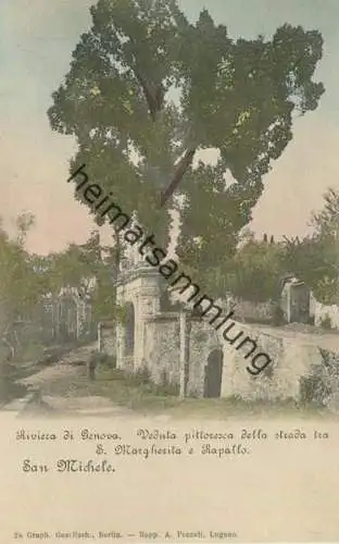Rapallo - San Michele - Riviera di Genova - Veduta pitoresca della strada tra S. Margherita e Rapollo