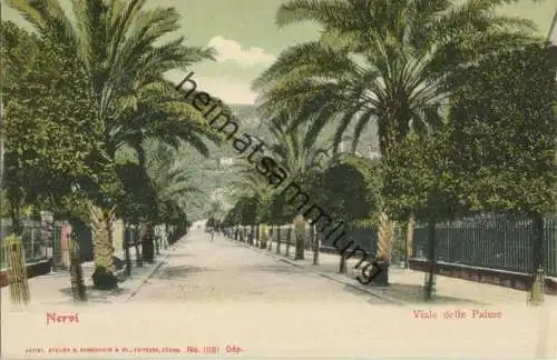 Nervi - Viale delle Palme ca. 1900