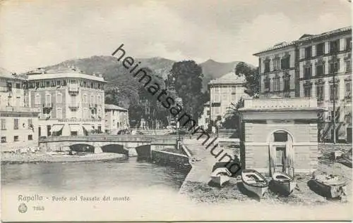 Rapallo - Ponte nel Fossato del monte ca. 1910