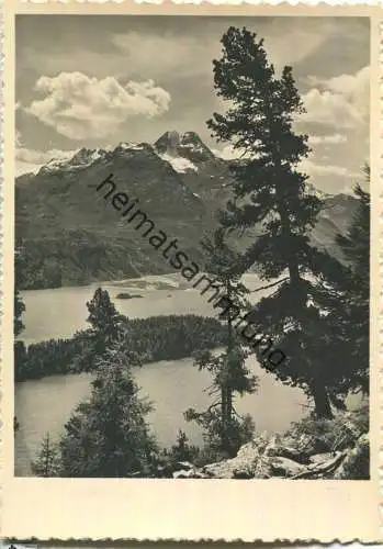 Silsersee - Piz della Margna - Foto-Ansichtskarte - Verlag Photoglob-Wehrli & Vouga & Co. AK Zürich