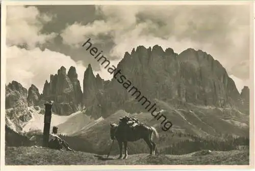 Il Catinaccio - Reiter - Foto-Ansichtskarte - Verlag J. F. Ammon Bolzano-Merano