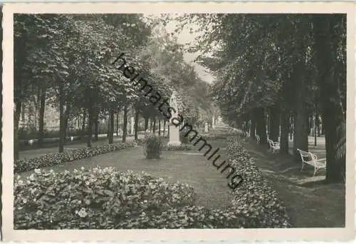 Franzensbad - Konrad Henlein Zeile - Foto-Ansichtskarte - Verlag Aduard Lohberger Franzensbad