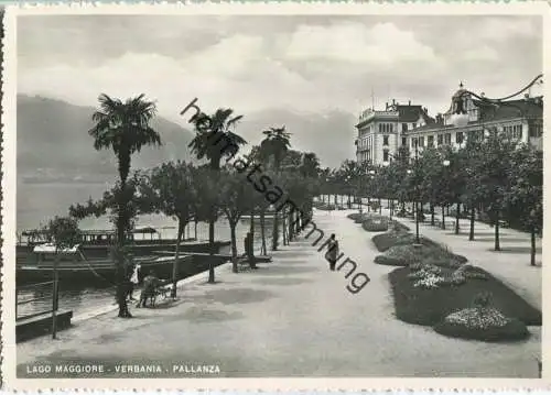 Lago Maggiore - Verbania - Pallanza - Foto-Ansichtskarte