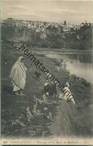 Constantine - Paturage sur les Bords du Rhummel