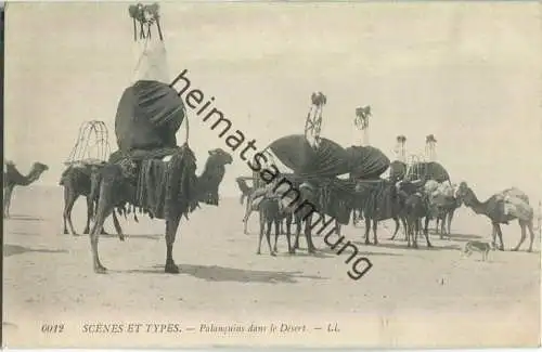 Scenes et Types - Palanquins dans le Desert