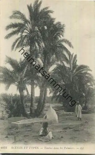 Scenes et Types - Tombes dans les Palmiers