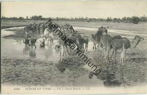 Scenes et Types - Vue a l'Oued Bayech