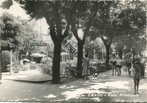 Grado - Viale Principale - vera Fotografia - Ed. Fiumano Grado - Rückseite beschrieben 1956