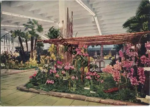 Hamburg - Planten un Blomen - Internationale Hallen-Blumenschau - Verlag Georg Michel