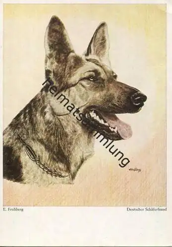 Deutscher Schäferhund - Künstlerkarte E. Frohberg - AK Grossformat - Wiechmann-Verlag Starnberg