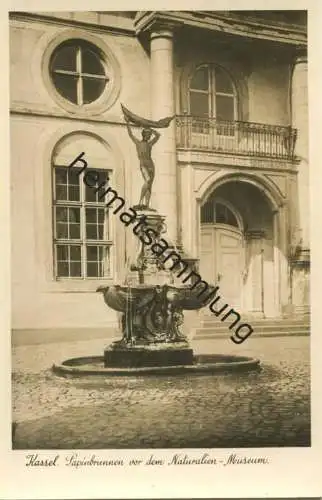 Kassel - Papinbrunnen vor dem Naturalien-Museum - Foto-AK - Verlag Bruno Hansmann Kassel