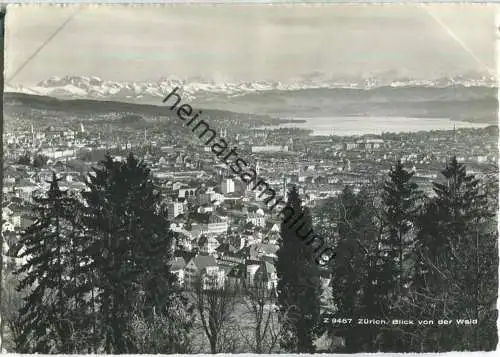 Zürich - Blick von der Waid - Foto-Ansichtskarte - Verlag Beringer & Pampaluchi Zürich