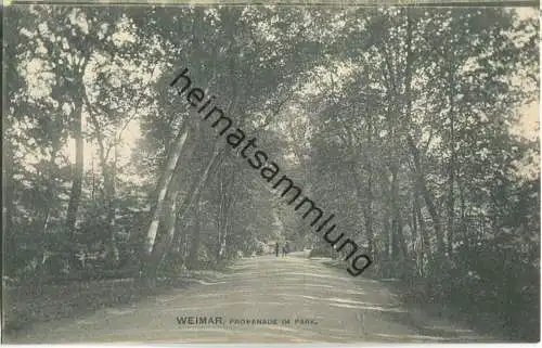 Weimar - Promenade im Park - Verlag Zedler & Vogel Darmstadt 1907