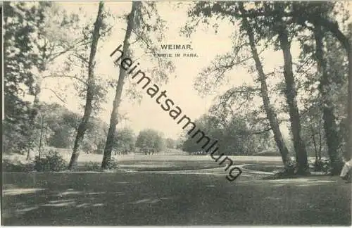 Weimar - Partie im Park - Verlag Zedler & Vogel Darmstadt 1908