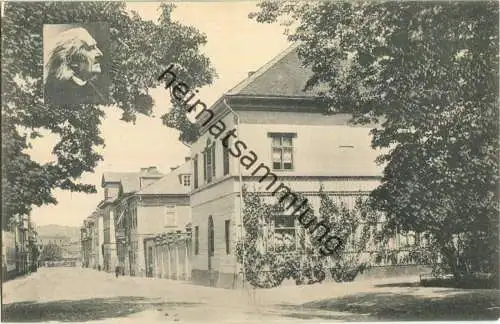 Weimar - Liszthaus - Verlag Zedler & Vogel Darmstadt 1907