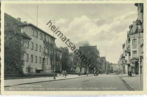 Eberswalde - Neue Kreuzstrasse - Holzforschungsinstitut der Forstl. Hochschule - Verlag Georg Neumann Eberswalde