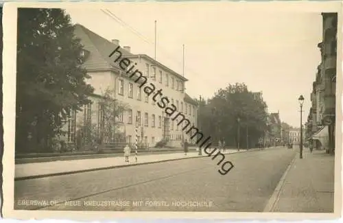 Eberswalde - Neue Kreuzstrasse - Forstliche Hochschule - Foto-Ansichtskarte - Verlag Paul Teltow Eberswalde 30er Jahre