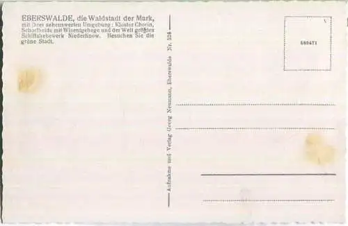 Eberswalde - Moltketreppe - Verlag Georg Neumann Eberswalde 30er Jahre