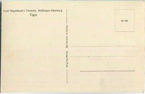 Hamburg-Stellingen - Tierpark Hagenbeck - Tiger - Foto-Ansichtskarte 30er Jahre