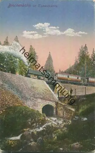 Brockenbahn - Im Tumkuhlental - Kleinbahn - Verlag M. Lederbogen Halberstadt 20er Jahre