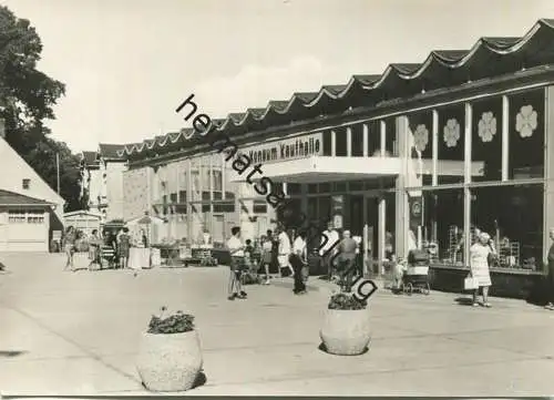 Zinnowitz auf Usedom - Konsum-Kaufhalle - Foto-AK Grossformat - Verlag VEB Graphokopie Berlin