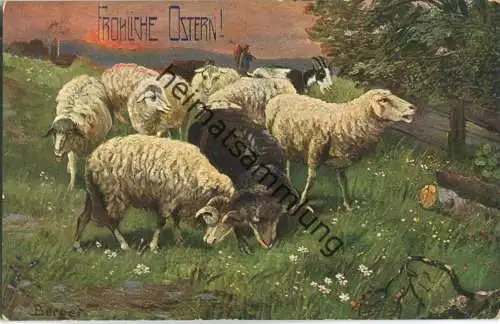 Fröhliche Ostern - Schafe