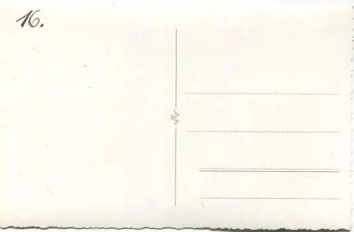 Kuh - Foto-AK 40er Jahre