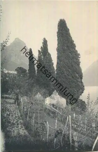 Albogasio - Lago di Lugano - Verlag Wehrli AG Kilchberg ca. 1910