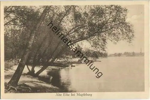 Alte Elbe bei Magdeburg 20er Jahre