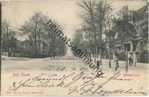 Bad Elmen - Ahornstrasse - Verlag Carl H. Odemar Magdeburg