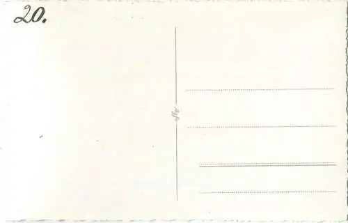 Pferd - Fohlen - Foto-AK 40er Jahre