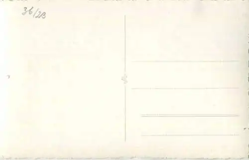 Pferd - Fohlen - Foto-AK 40er Jahre